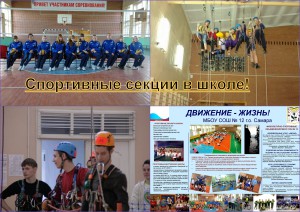 sektsii_v_shkole_33